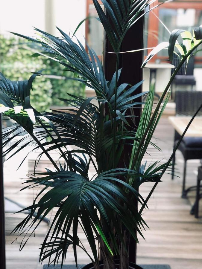 Atrium Panzio Hotel Esztergom Bagian luar foto